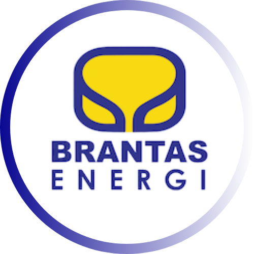pt brantas energi.png